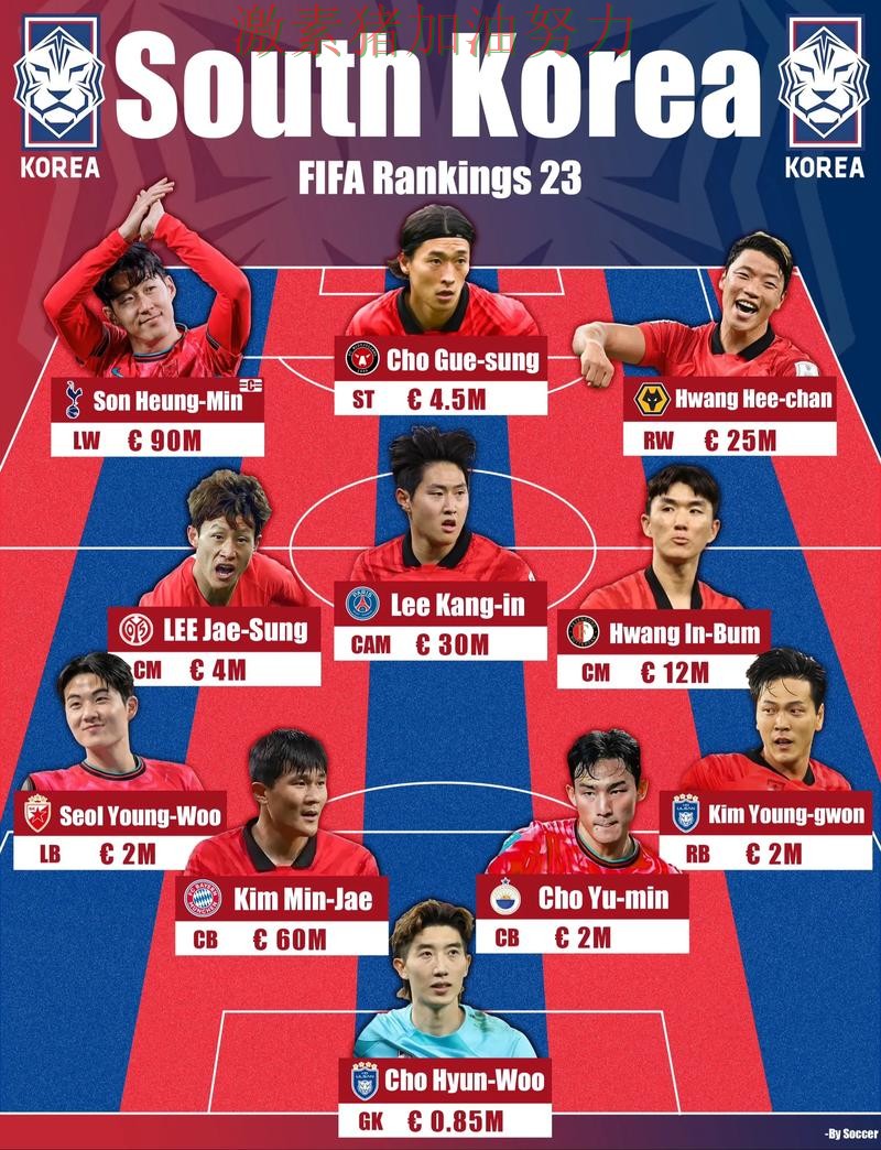 韩国阵容升级让球迷期待值迅速拉满